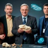 Қазақстандық ғалымдар 50 мың жылдағы иттер мен қасқырлардың бассүйегін зерттеді