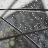 2 желтоқсанда қар түсіп, нөсер жаңбыр жауатыны болжанады