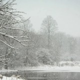 Қазақстанның басым бөлігінде тұман түсіп, көктайғақ болады