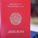 Жалғын диплом жасаған 20 интернет-ресурс анықталды