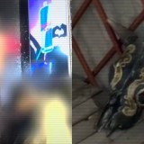 Алматыда қылмыстық топ жаңа туған нәрестелерді сатумен айналысқан