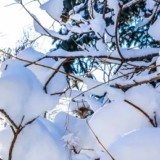 Алдағы күндері 28 градус аяз болады