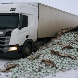 Маңғыстауда йогурт тиеген жүк көлігі аударылып кетіп, оны халыққа тегін таратып берді