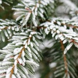 Бұрқасын, тұман, көктайғақ... Синоптиктер ескертеді