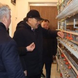 Үкімет басшысының кеңесшісі Қызылорда облысындағы Бесарық ауылының берекелі тіршілігімен танысты