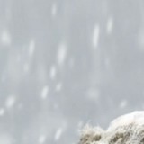 Алдағы үш күнде 35 градус аяз болады