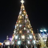 Қызылордада жаңажылдық шырша шамы жағылды