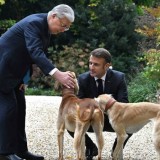 Тоқаевтың қазір неше тазысы бар: Президенттің көмекшісі қызық деректі айтты (ВИДЕО)