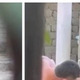 Әкесін соққыға жыққан түркістандық ер адамға екі бап бойынша айып тағылды