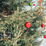 30-31 желтоқсанда ауа-райы қандай болатыны белгілі болды