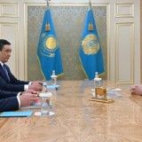 Мемлекет басшысы Парламенттік реформа жөніндегі жұмыс кеңесін өткізді