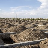 Түркияда билік 500 қабірді алдын ала қазып қойды: себебі неде? (ВИДЕО)