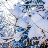 Алдағы күндері -40°С-қа дейін аяз болады