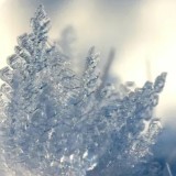 "40 градус аяз". 15 қаңтарға арналған ауа райы болжамы жарияланды