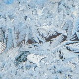 Астана мектептері мен колледждері тағы да онлайнға көшті