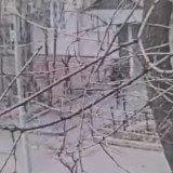 Қарақшылар алматылық тұрғынды байлап, 30 млн-дық мүлкін ұрап кеткен