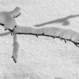 Ауа райына қатысты 14 облыста ескерту жарияланды