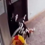 «Шапалақпен ұрып, тұншықтырған»: Алматыда балабақшада болған оқиға жұртты шошытты