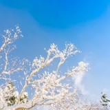 Алматы, Астана, Шымкент: Алдағы күндері ауа райы қандай болады?