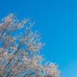 Сенбі күні еліміздің бірнеше өңірінде тұман мен қар күтіледі