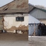 "Мәйіттері үйлерінен табылды": Сарыбастауда бүтіндей бір отбасының барлық мүшесі қаза тапты (ВИДЕО)