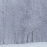 7 ақпанға арналған ауа райы болжамы жарияланды