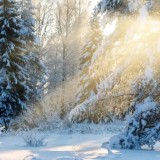 8 ақпанға арналған ауа райы болжамы жарияланды