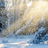 9 ақпанға арналған ауа райы болжамы