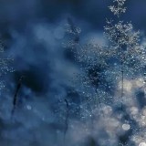 Бүгін қар аралас жаңбыр жауады, аяз болады