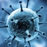 Короновирус қайта өрши ме? ДСМ 5 адамнан вирус анықтапты