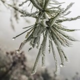 14 ақпанға арналған ауа райы болжамы жарияланды