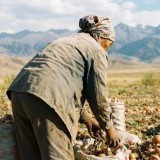 Жамбыл облысында бәрі "өлдіге санап, жерлеп тастаған" әйел бір айдан соң үйіне оралды