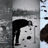 "Шерзатұлының денесі жерден қазып алынды": Белгілі заңгер елді дүрбелеңге салған іске қатысты мәлімдеме жасады (ВИДЕО)