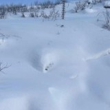 Алдағы күндері тауларда қар көшкіні жүруі мүмкін