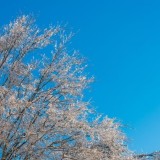 22 ақпанда Қазақстанда боран мен көктайғақ күтіледі