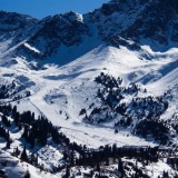 Алматы тауларында ер адам қар көшкіні астында қалған