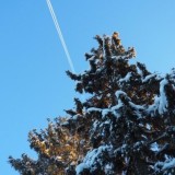 Қазақстанда 23 ақпанда қолайсыз ауа райы күтіледі