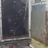 Түркістанда 600-ден аса малды құжатсыз тасымалдағандар ұсталды