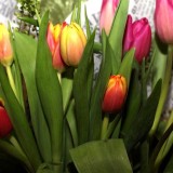 8 наурыз қарсаңында қазақстандықтарға ескерту жасалды