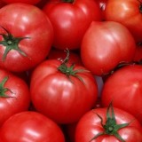 Ресейден әкелінген қызанақтан вирус шықты