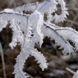 Ертеңнен бастьап -25 градусқа дейін аяз болады