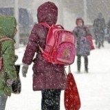 Астанада екінші ауысым оқушылары да онлайн оқиды