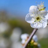 Көктем мен жаз айларында ауа райы қалай болады?