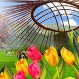 22 наурыз – Ұлыстың ұлы күні Наурыз мейрамы