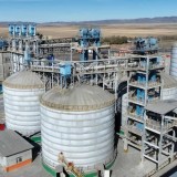 Жетісу облысында қытайлық зауытқа 264 млн теңге айыппұл салынды