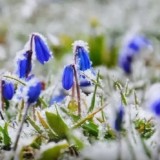 Синоптиктер ертең ауа райы қандай болатынын ескертті