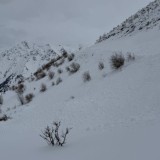 Қар көшкіні қаупі: Алматы және таулы облыстарда ескерту жарияланды