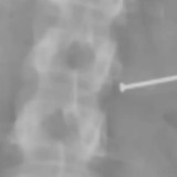 Балмұздақтың ішінен шеге шықты: Әйел адам тосын жағдайға тап болып, артынша миллионер атанды (ФОТО)