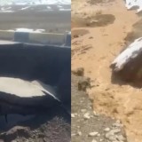 «Кеген–Нарынқол» трассасында жолды су шайып кетті