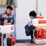 Астанада маса мен шіркейге қарсы күрес жұмысы қалай өтеді